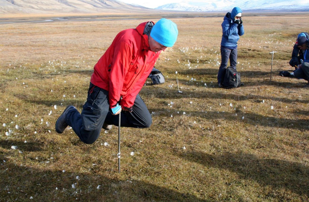 Här ska vi se hur långt ner det är till permafrosten. Därefter ska vi mäta temperaturen i vårt borrhål.