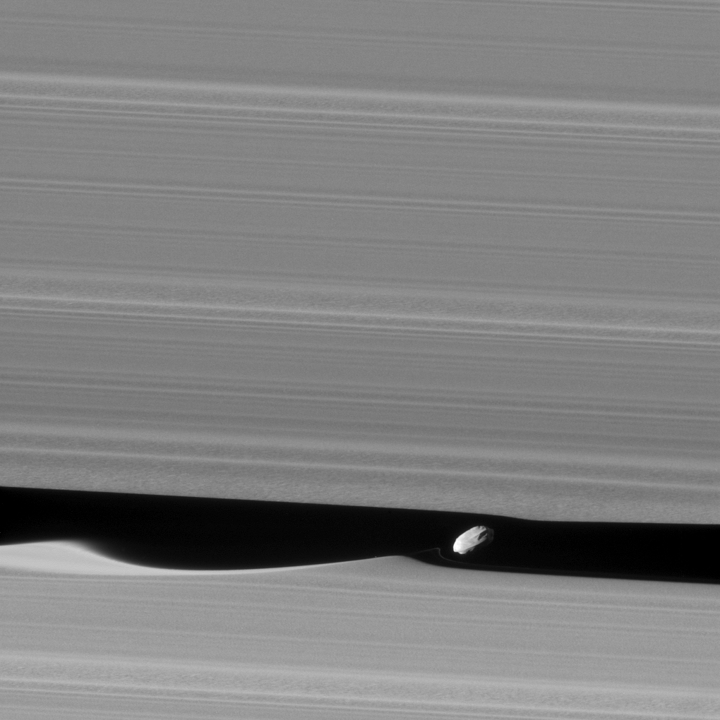 Daphnis_Saturnus_Aring